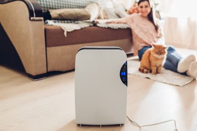 Dehumidifier Installation in Naples, FL